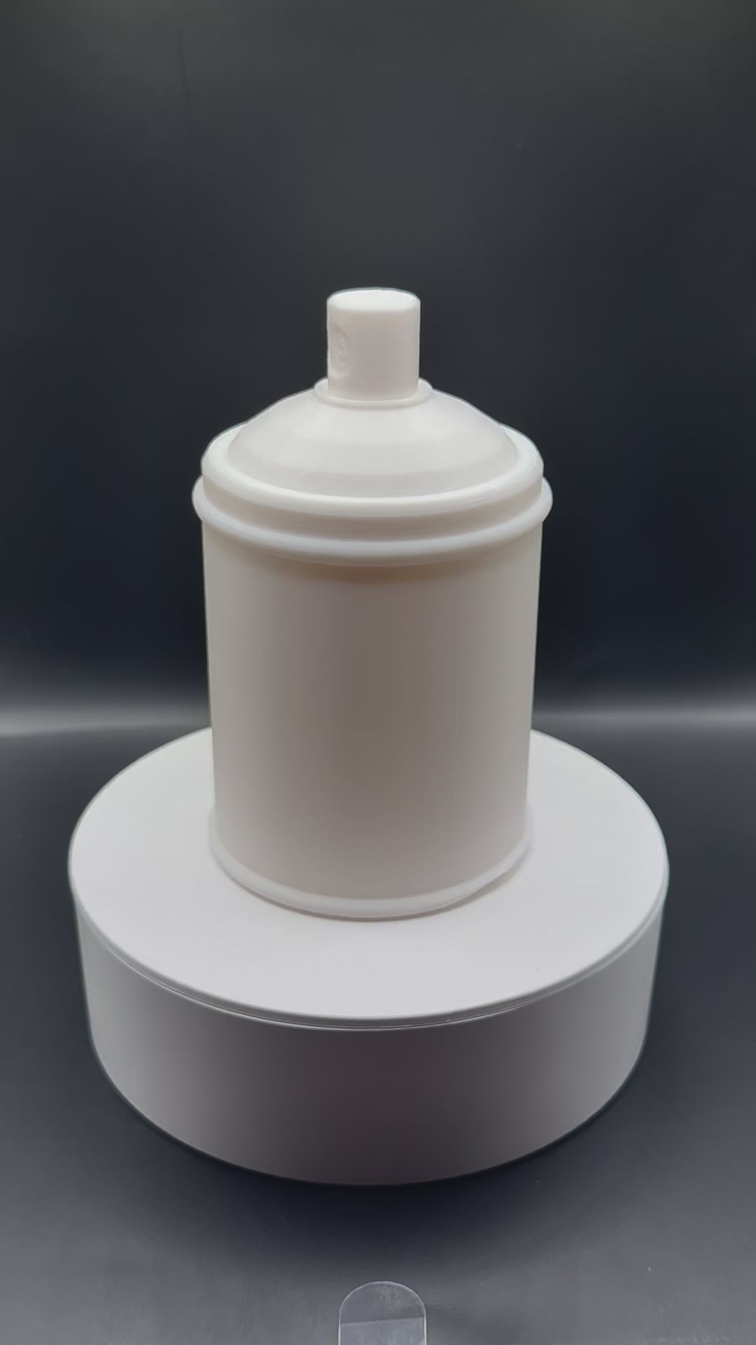 Spray Can Container